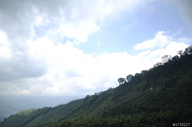 嘉義梅山