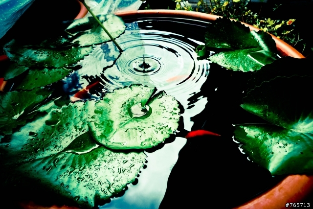 色調.LOMO蓋大樓