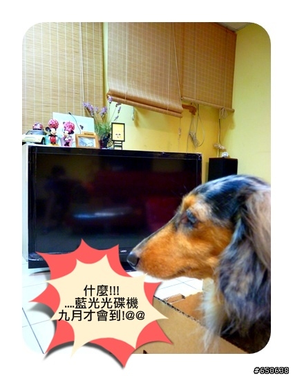 [ VIZIO E3D47VX-TW ] 斑斑的大玩具~開箱首部曲