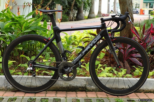 ［分享］Neil Pryde Alize 碳纎公路車