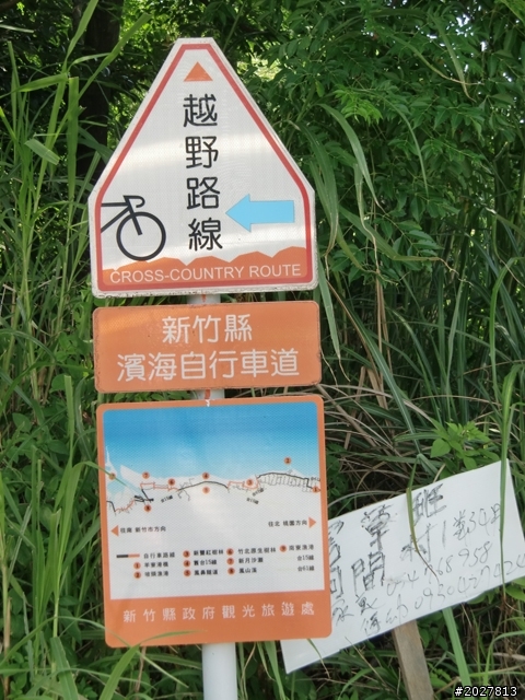 阿伯`大星&(環)島愛