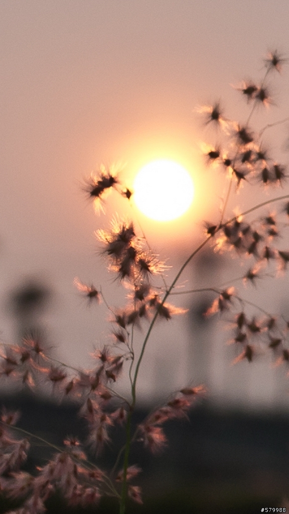 頭殼壞掉.我買了Voigtlander25mm"全手動鏡"內附GF4流出照