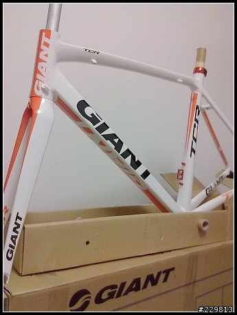 2011 Giant TCR單售車架