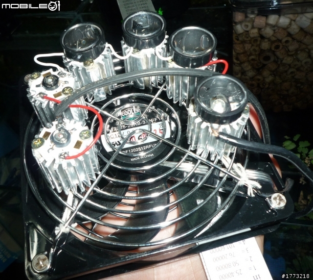 已更新，三波長LED燈完成!(圖+影)!![DIY]以LED作為植物光源，探討LED是否能作為植物生長燈，以及波長對植物的影響