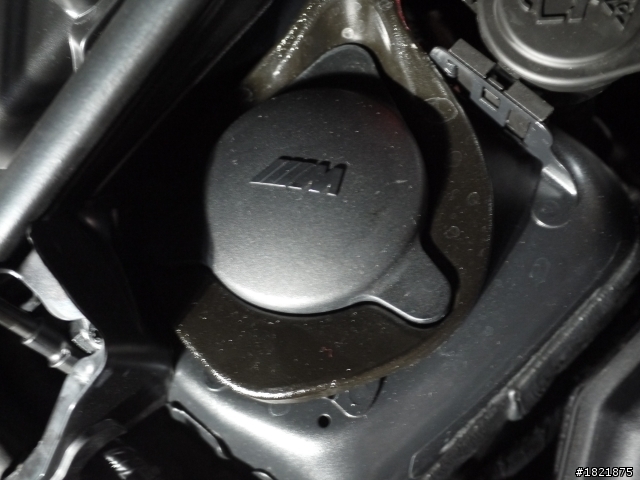BMW 1M狂熱趴 (圖多慎入)