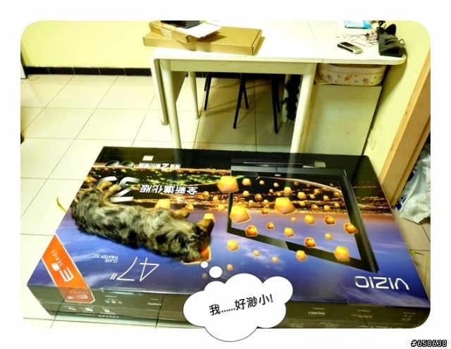 [ VIZIO E3D47VX-TW ] 斑斑的大玩具~開箱首部曲
