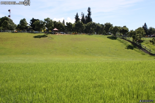 台灣的美景~讚!!