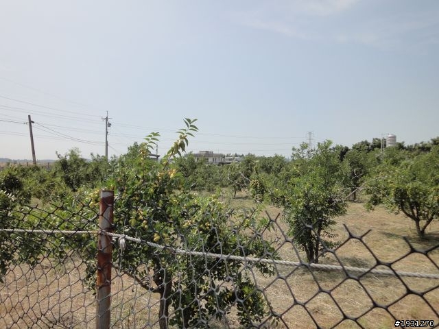 苗栗公館銅鑼之旅