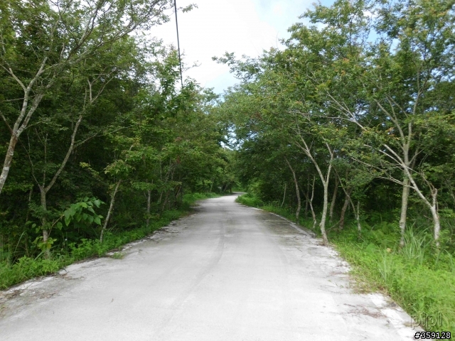 2011-07-03 米棧水璉(花38-1) 箭瑛(花46)  產業道路 縣193 [花蓮小橫貫]