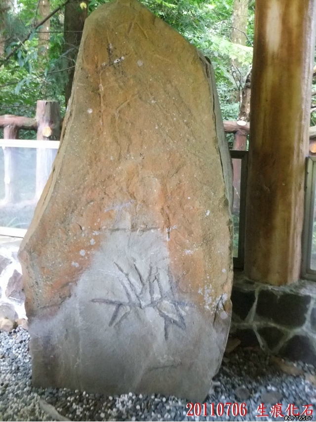 20110706 東眼山東滿步道滿月圓自行車之旅