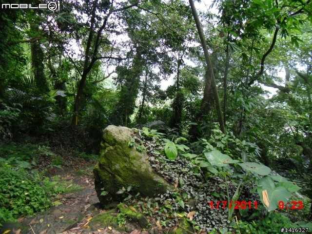 小百岳-崁頭山