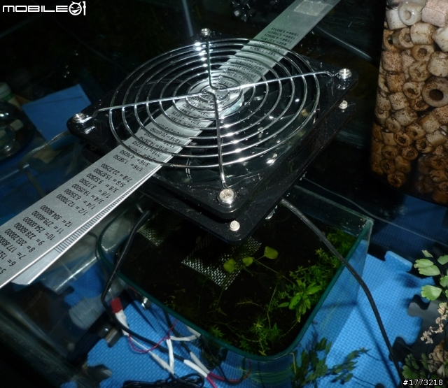 已更新，三波長LED燈完成!(圖+影)!![DIY]以LED作為植物光源，探討LED是否能作為植物生長燈，以及波長對植物的影響