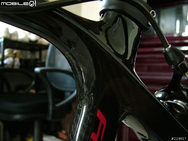 [分享]2010年GIANT DEFY Advanced 2 入手細部照片