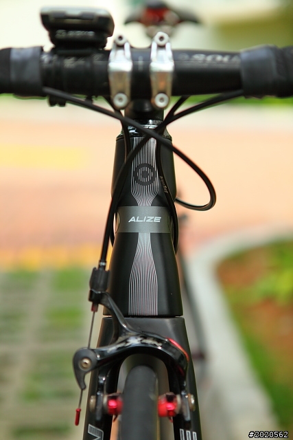 ［分享］Neil Pryde Alize 碳纎公路車