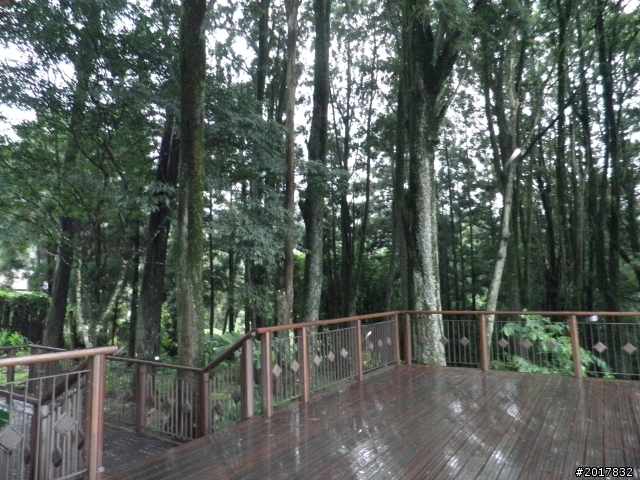 7/18大華公路-奮起湖尋幽(下)