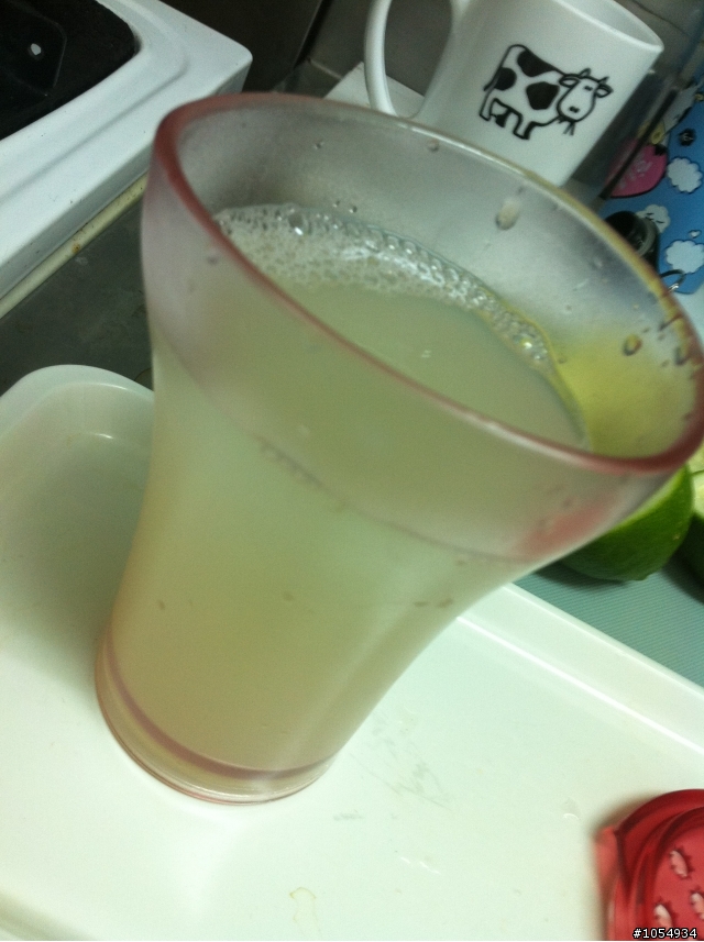 我的廚房小幫手樂果機