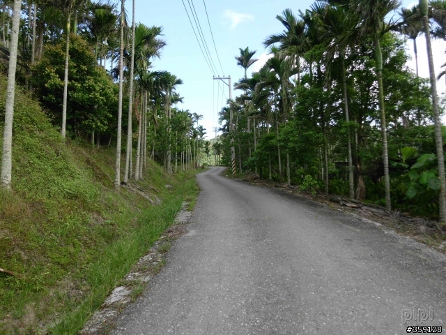 2011-07-03 米棧水璉(花38-1) 箭瑛(花46)  產業道路 縣193 [花蓮小橫貫]