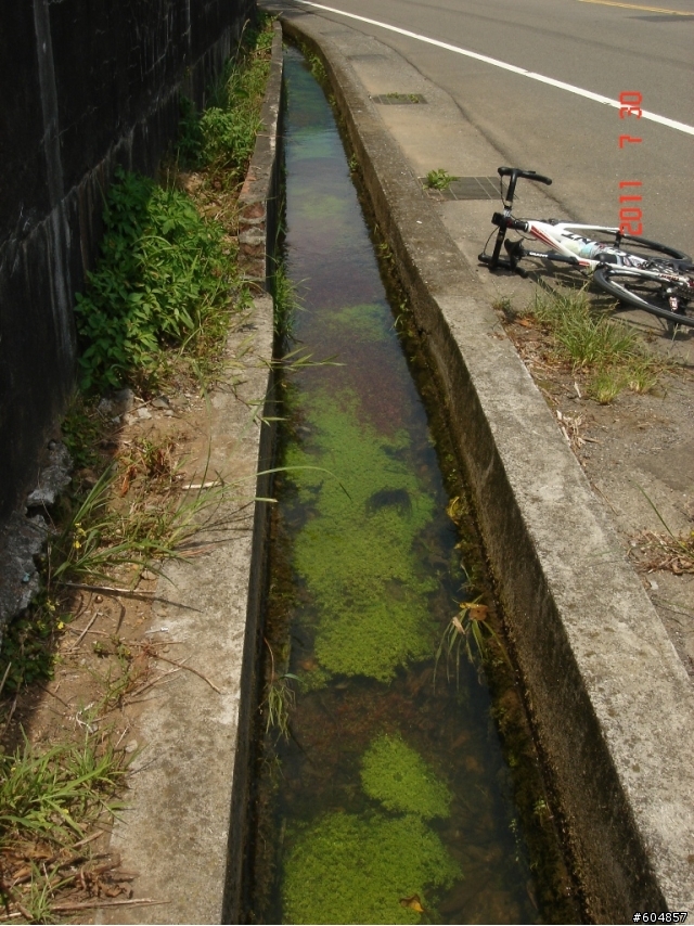 陽金公路旁的水溝