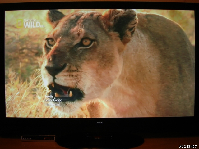 敗下去了...VIZIO XVT3D650SV-TW