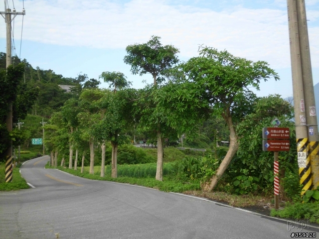 2011-07-03 米棧水璉(花38-1) 箭瑛(花46)  產業道路 縣193 [花蓮小橫貫]