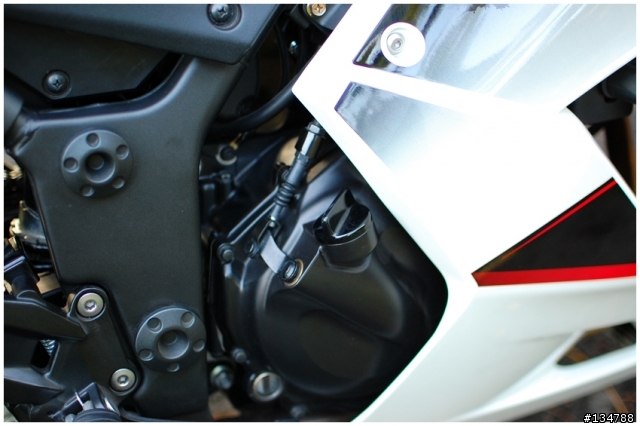 [開箱]走進高雄城市的白色小忍者Ninja250R!圖多!