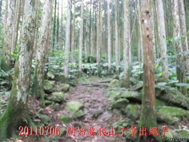 20110706 東眼山東滿步道滿月圓自行車之旅