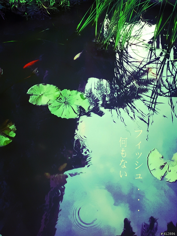 我的魚不見了