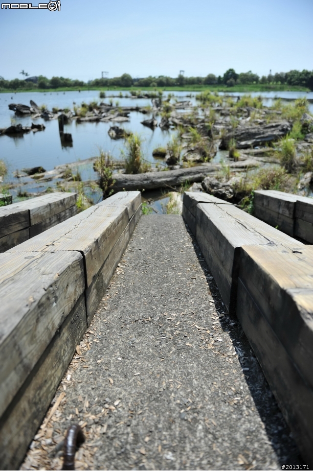 24-70 F2.8G 入手之測試拍照分享