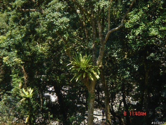 20110708_宜蘭輕鬆一日遊