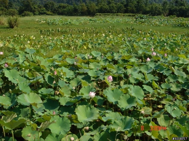 20110708_宜蘭輕鬆一日遊