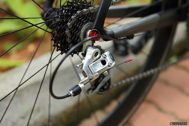［分享］Neil Pryde Alize 碳纎公路車