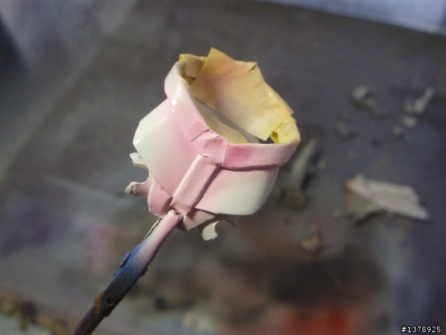 【GK新手】戰場女武神─塞爾貝利亞