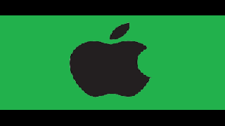 iPad VGA or HDMI adapter