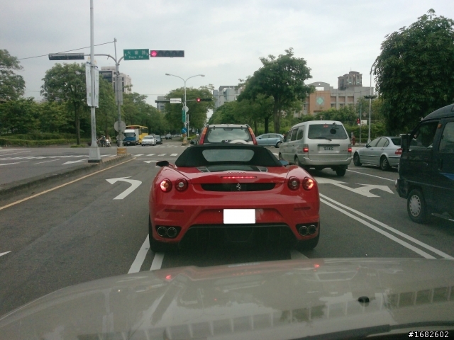 漂亮的紅馬兒