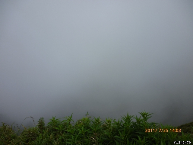 我的第一次 ! 武嶺 !