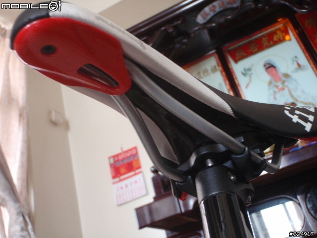 [分享]2010年GIANT DEFY Advanced 2 入手細部照片