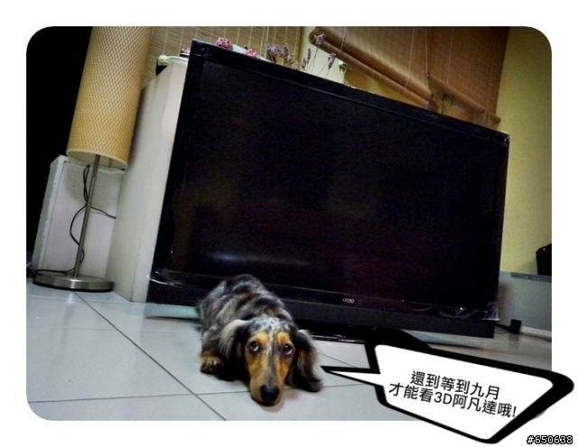[ VIZIO E3D47VX-TW ] 斑斑的大玩具~開箱首部曲