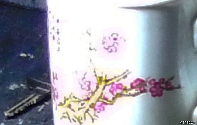 [分享送問題] RAW和相機直出JPG的比較(圖多)和用lightroom修圖的前後差異所發現的問題