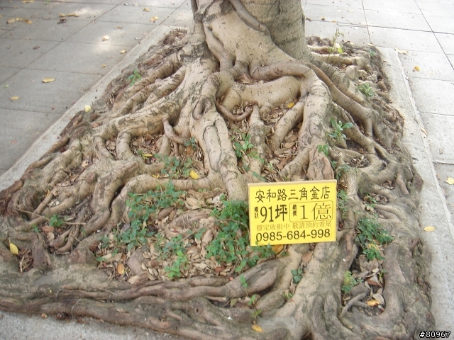 安和路店面, E