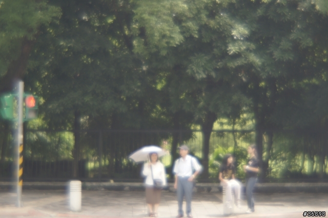 NEX轉接Diana鏡頭