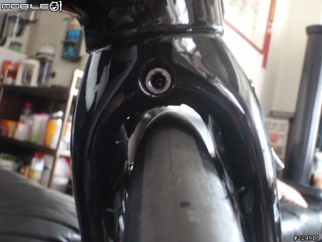 [分享]2010年GIANT DEFY Advanced 2 入手細部照片