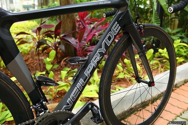 ［分享］Neil Pryde Alize 碳纎公路車