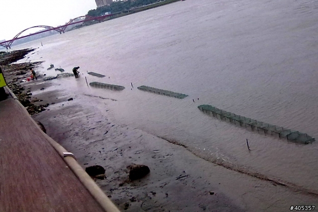 淡水河捕魚..