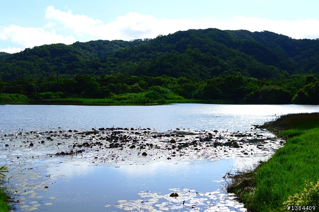 小半島遊