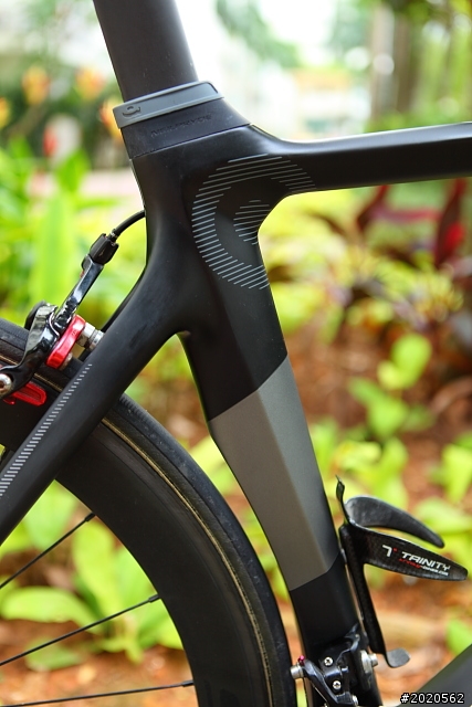 ［分享］Neil Pryde Alize 碳纎公路車