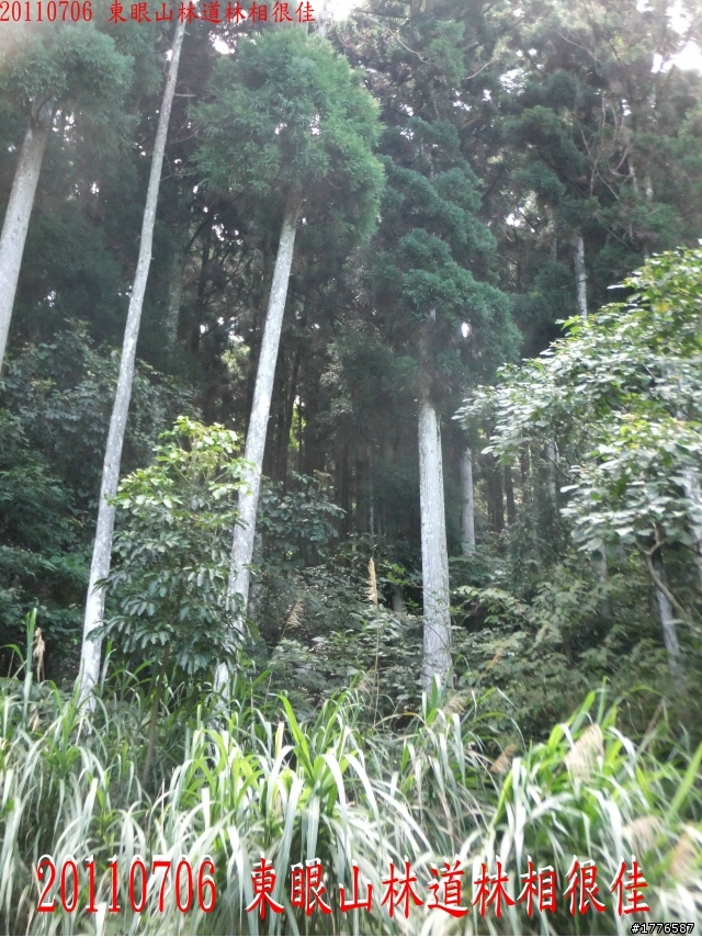20110706 東眼山東滿步道滿月圓自行車之旅