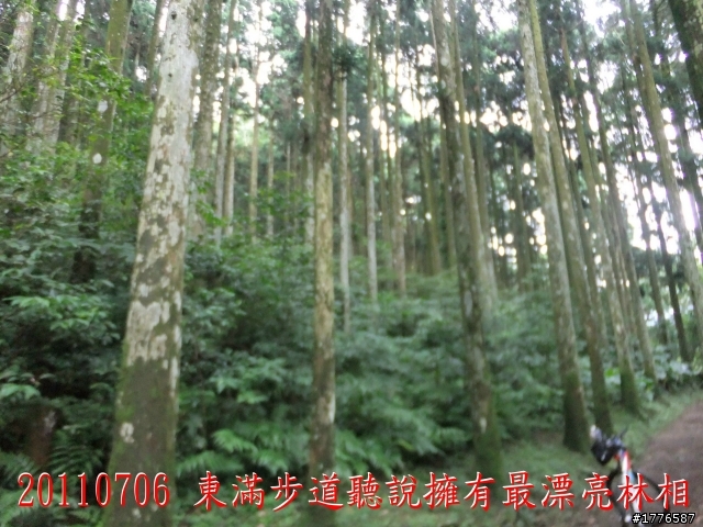 20110706 東眼山東滿步道滿月圓自行車之旅