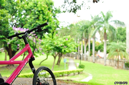 挑了好久...      小徑分享