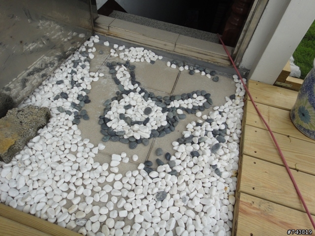 分享~~隔熱綠屋頂DIY