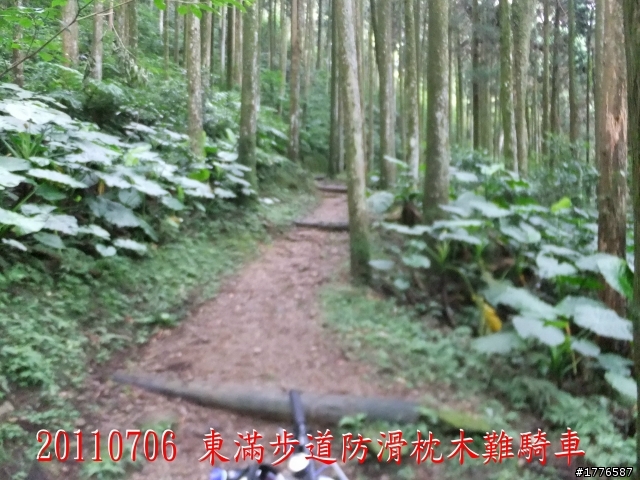 20110706 東眼山東滿步道滿月圓自行車之旅